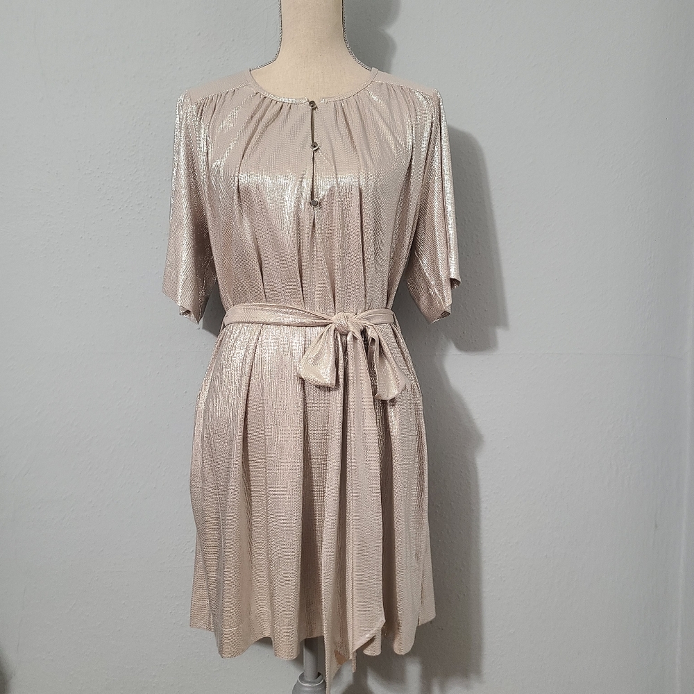 Sabina Musayev‎ Anthropologie Mercury Silver Metallic Shirt Dress Size L Petite